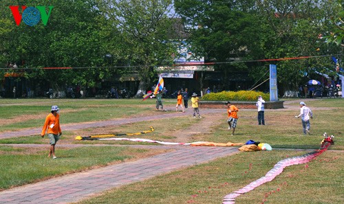 Kites soar over Hue skies - ảnh 5